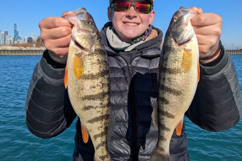   Poleiro jumbo, como este par capturado por Casey Shell e seu pai Jim em Chicago, foi capturado por alguns pescadores de poleiro em Chicago nas últimas semanas.