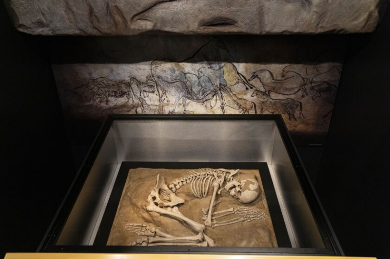   Een re-creatie van een skelet is te zien in een nieuwe tentoonstelling die de culturele tradities en impact van de dood onderzoekt, genaamd 'Death: Life's Greatest Mystery', in het Field Museum, dinsdag 18 oktober. De tentoonstelling gaat vrijdag open voor het publiek.