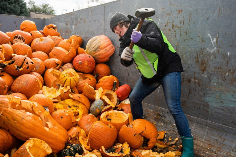   Renee Patten, 33, medevoorzitter van de Edgewater Environmental Coalition, slaat pompoenen kapot tijdens een composteringsevenement op een parkeerplaats aan 6040 N. Clark St. in Edgewater, zaterdag 5 november.