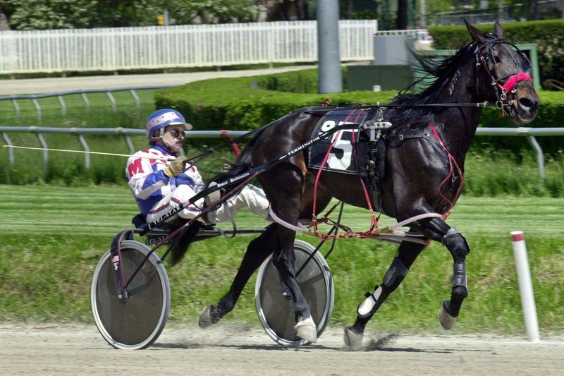 Závodník Harness Ron Marsh se v roce 2003 účastní kvalifikačního závodu na Hawthorne Race Course.