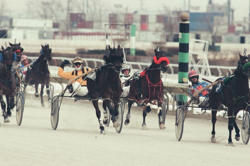Harness závody na Hawthorne Race Course v roce 1996.