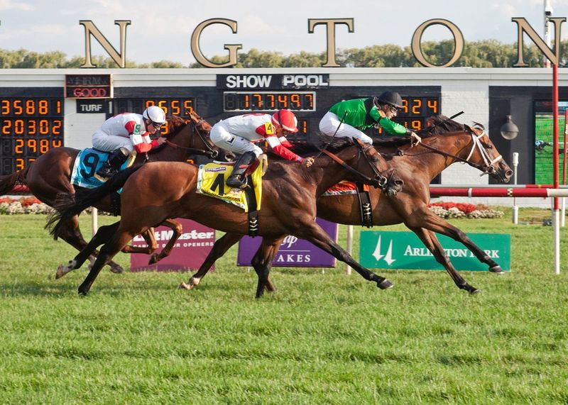 The Pizza Man, na které jezdil žokej Florent Geeroux, vyhrává Arlington Million v roce 2015.
