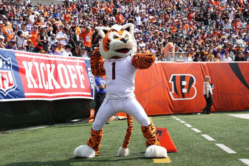 Minnesota Vikings proti Cincinnati Bengals