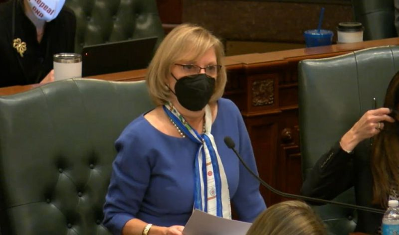 State Rep. Robyn Gabel, D-Evanston, mluví na půdě sněmovny minulý měsíc.