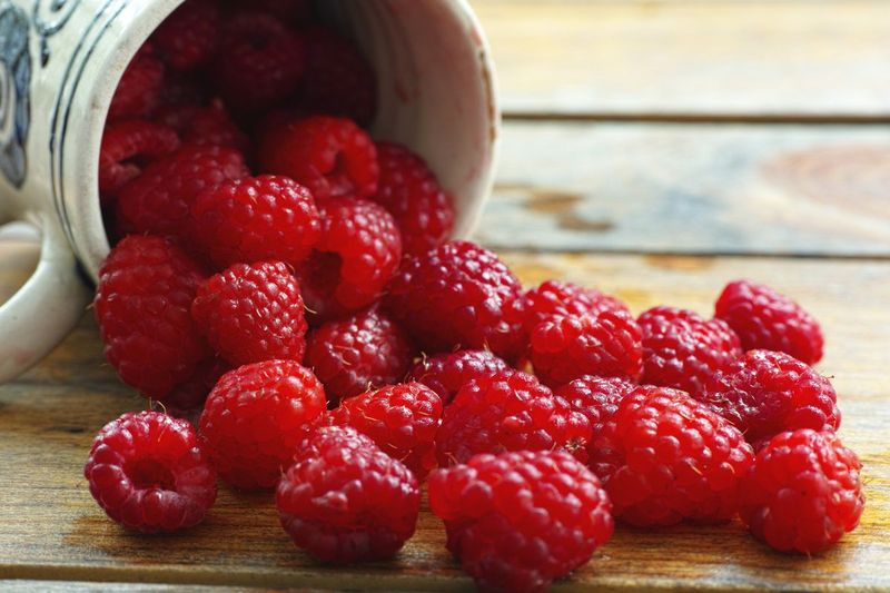 Himbeeren stecken voller Nährstoffe.