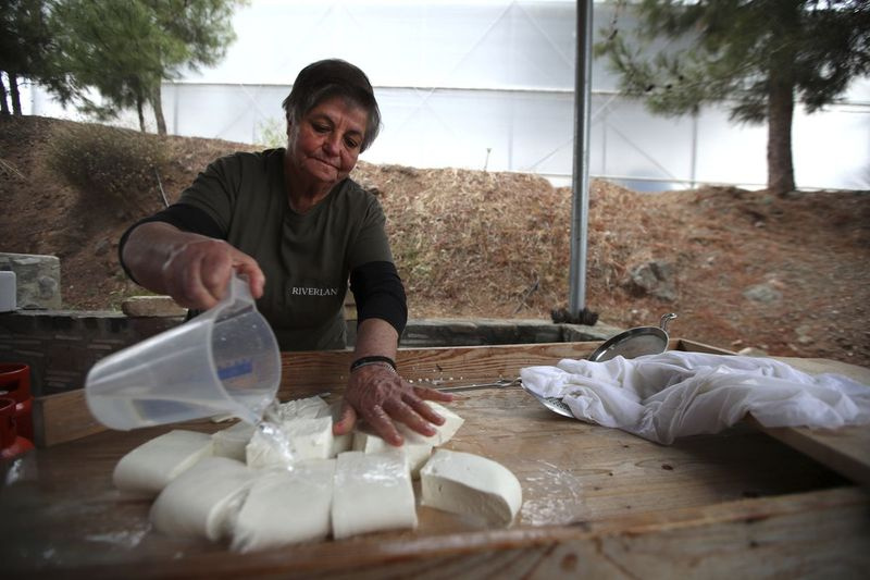 Aphrodite Philippou, 73, stellt auf einer Farm im Dorf Kampia in der Nähe von Nikosia, Zypern, Zyperns Halloumi-Käse her.