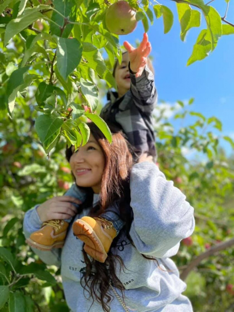   Apple Holler, que es estrictamente U-Pick, ofrece más de 65 acres de árboles frutales y cultiva más de 40 variedades de manzanas.
