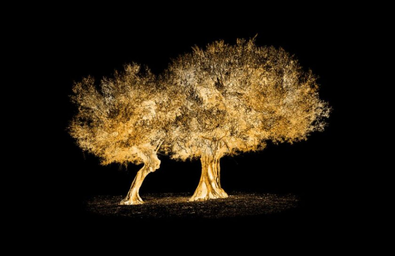   Together_photo_by_HRH_Prince_Nikolaos_from_the_exhibit_Resilance_.jpg