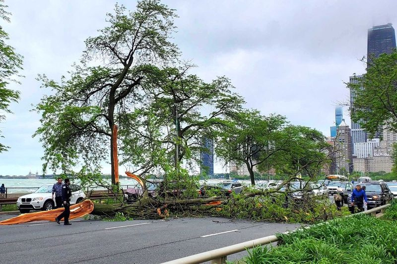 Ein umgestürzter Ast blockierte am Freitag, den 28. Mai 2021, alle Fahrspuren des Lake Shore Drive in Richtung Norden an der North Avenue.