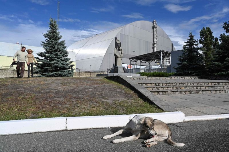 Toulavý pes leží před novou kovovou kupolí Nového bezpečného krytu (NSC) navrženou a postavenou francouzským konsorciem Novarka, která zakrývá zničený reaktor v černobylské elektrárně 10. července 2019 v Černobylu.