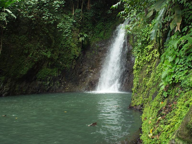 Grenadas on kosed vaid kerge matka kaugusel. Seven Sisters Waterfalls on selle tüübi ideaalne esindaja. | Grenada turismiamet
