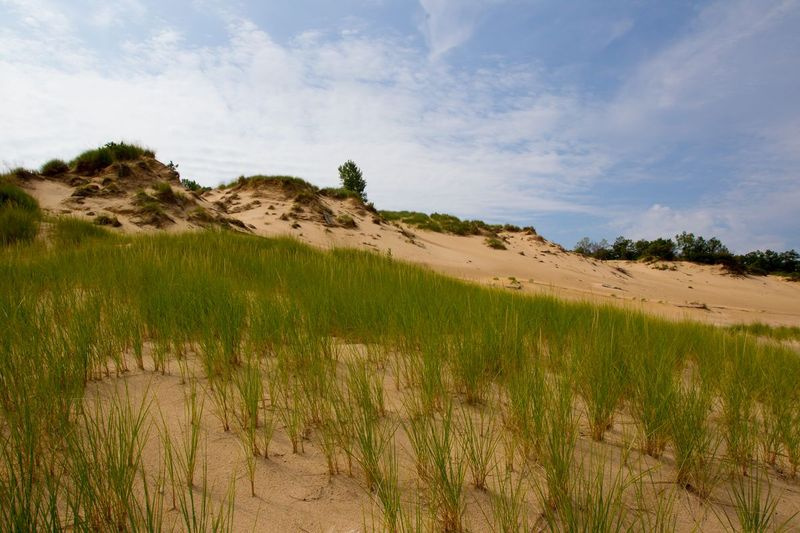 Una vista general de las dunas de arena en Mt. Baldy en Indiana Dunes National Lakeshore en Michigan City, Indiana.