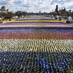 Las banderas decoran el campo de banderas en el National Mall cerca del Capitolio de los Estados Unidos antes de la investidura del presidente electo de los Estados Unidos, Joe Biden, el 20 de enero de 2021 en Washington, DC. Durante la ceremonia de inauguración de hoy, Joe Biden se convierte en el 46º presidente de los Estados Unidos.