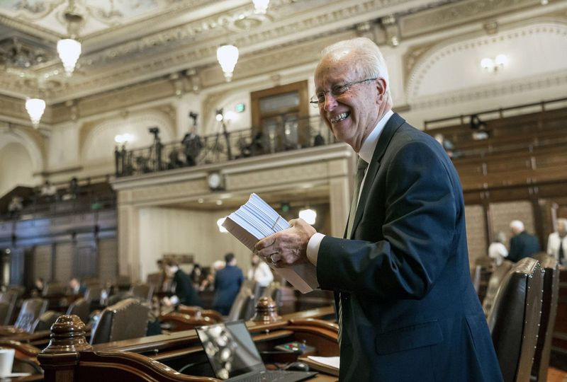 Sen. Terry Link, D-Vernon Hills.