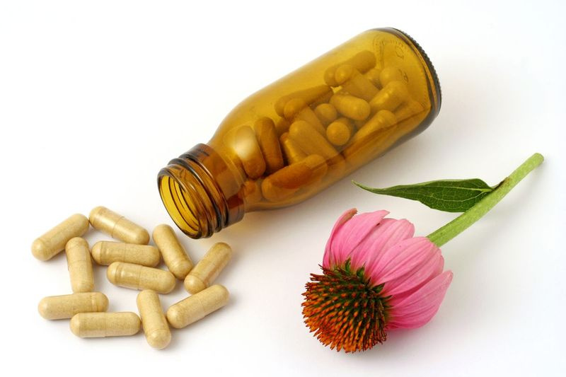 Echinacea má různé léčivé vlastnosti.
