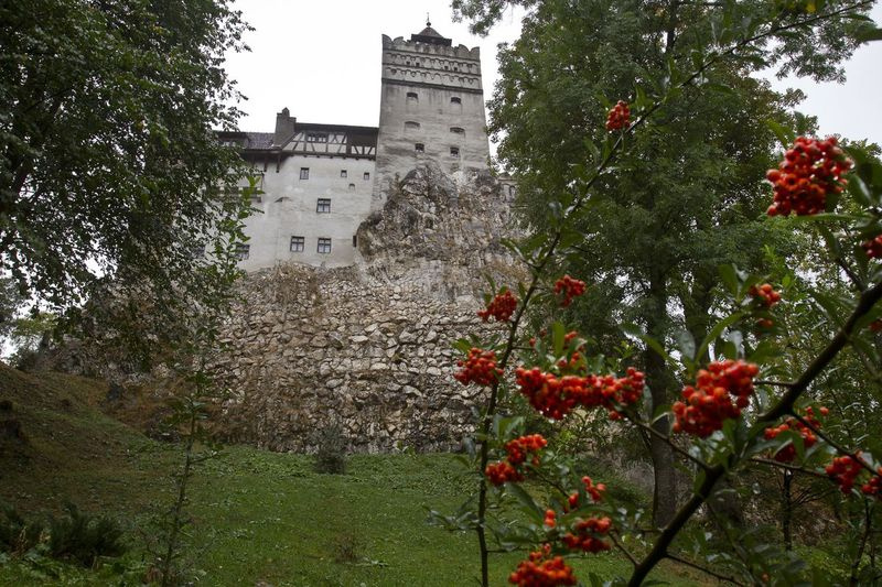 Det gotiske Bran-slottet, bedre kjent som Dracula-slottet, er sett på en regnværsdag i Bran, i Romanias sentrale Transylvania-region i 2011. Rumenske myndigheter har satt opp et COVID-19-vaksinasjonssenter i en middelalderbygning i Bran, ikke langt fra slott, som et middel for å oppmuntre folk til å vaksinere og også for å øke turismen som har gått ned i området som følge av pandemien.