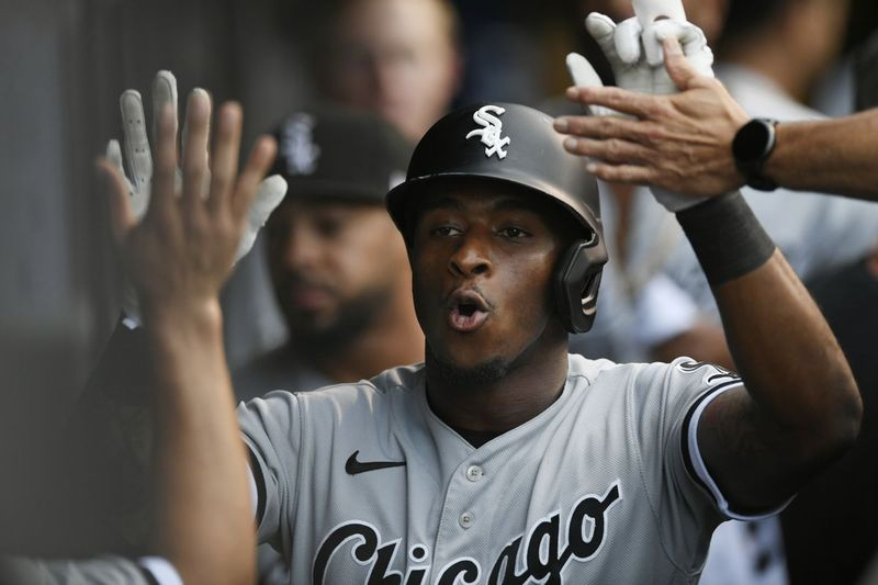 Tim Anderson sætter tonen for White Sox på banen, og på mange måder satte han den for deres genopbygning, da han underskrev en seksårig forlængelse på $25 millioner under forårstræningen i 2017.